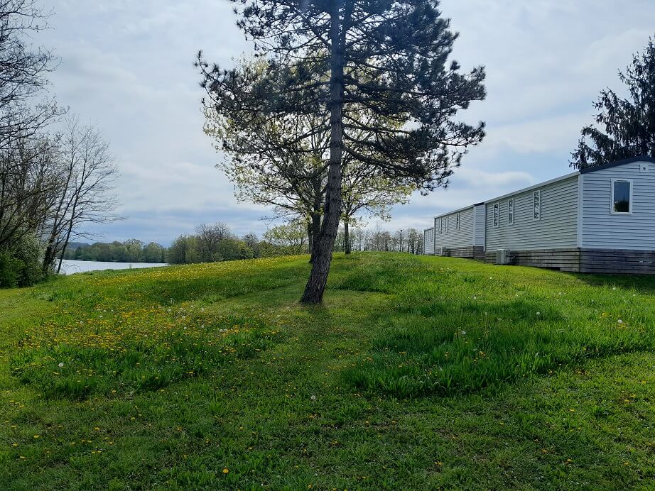 prairies naturelle et fleurie